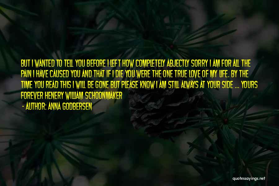 Anna Godbersen Quotes: But I Wanted To Tell You Before I Left How Completely Abjectly Sorry I Am For All The Pain I