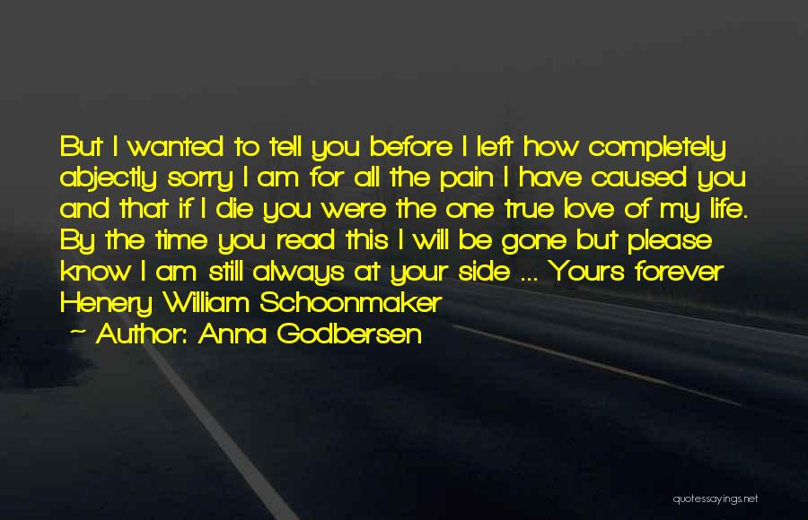 Anna Godbersen Quotes: But I Wanted To Tell You Before I Left How Completely Abjectly Sorry I Am For All The Pain I