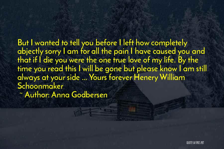 Anna Godbersen Quotes: But I Wanted To Tell You Before I Left How Completely Abjectly Sorry I Am For All The Pain I