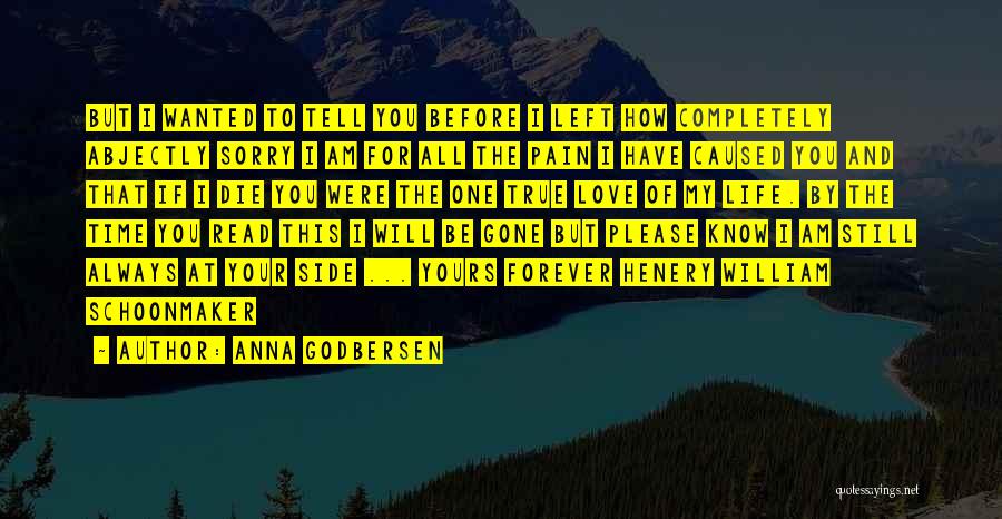 Anna Godbersen Quotes: But I Wanted To Tell You Before I Left How Completely Abjectly Sorry I Am For All The Pain I