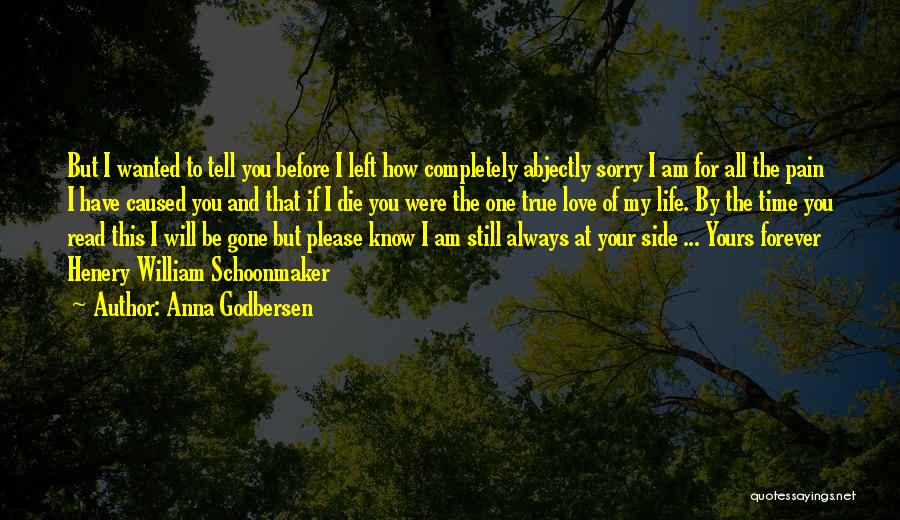 Anna Godbersen Quotes: But I Wanted To Tell You Before I Left How Completely Abjectly Sorry I Am For All The Pain I