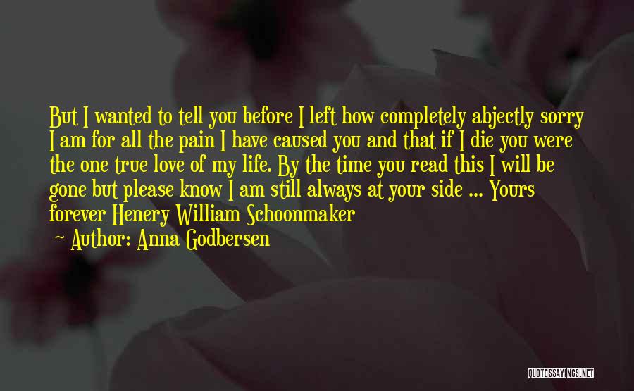 Anna Godbersen Quotes: But I Wanted To Tell You Before I Left How Completely Abjectly Sorry I Am For All The Pain I