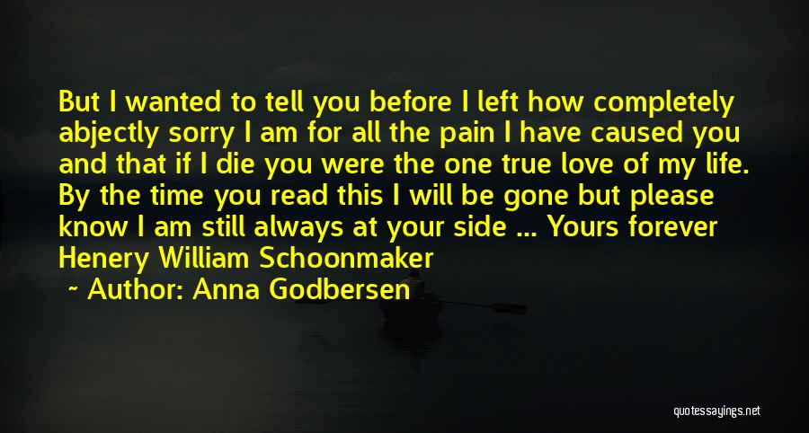 Anna Godbersen Quotes: But I Wanted To Tell You Before I Left How Completely Abjectly Sorry I Am For All The Pain I