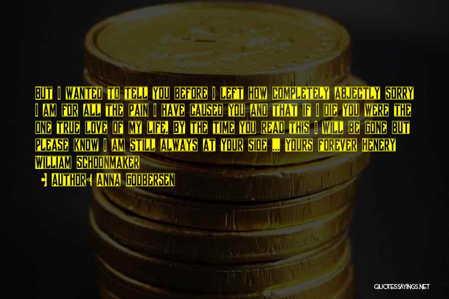 Anna Godbersen Quotes: But I Wanted To Tell You Before I Left How Completely Abjectly Sorry I Am For All The Pain I