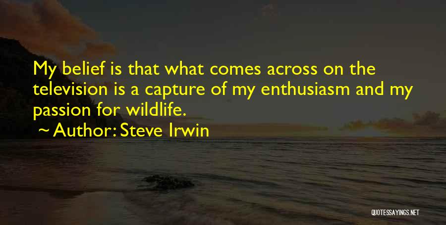 Steve Irwin Quotes: My Belief Is That What Comes Across On The Television Is A Capture Of My Enthusiasm And My Passion For