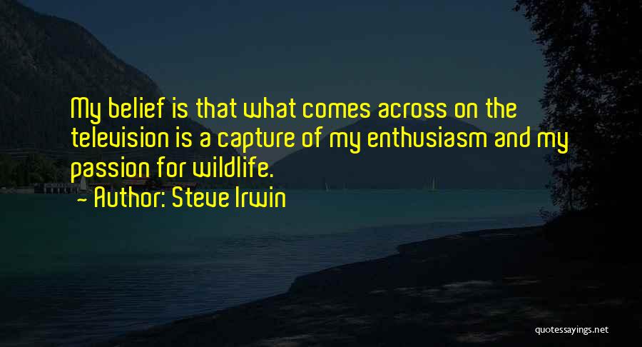 Steve Irwin Quotes: My Belief Is That What Comes Across On The Television Is A Capture Of My Enthusiasm And My Passion For