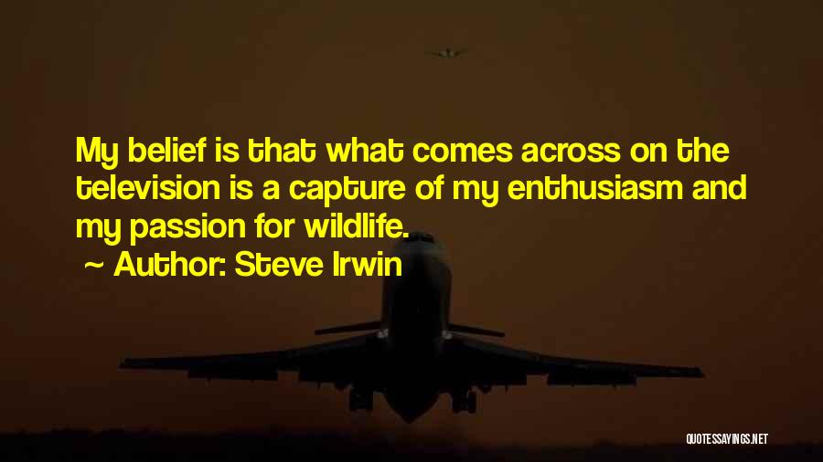 Steve Irwin Quotes: My Belief Is That What Comes Across On The Television Is A Capture Of My Enthusiasm And My Passion For