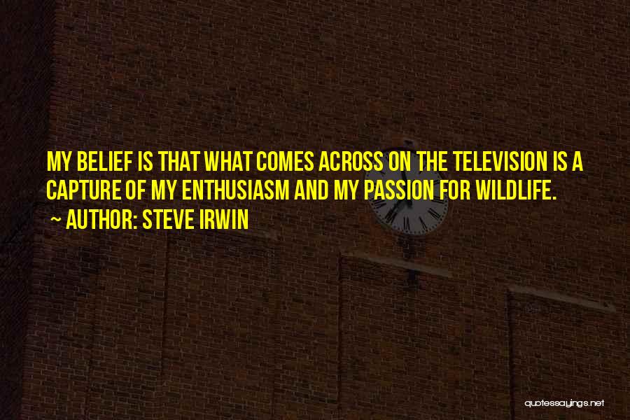 Steve Irwin Quotes: My Belief Is That What Comes Across On The Television Is A Capture Of My Enthusiasm And My Passion For