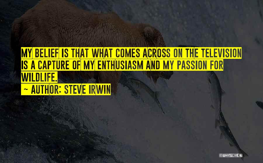 Steve Irwin Quotes: My Belief Is That What Comes Across On The Television Is A Capture Of My Enthusiasm And My Passion For