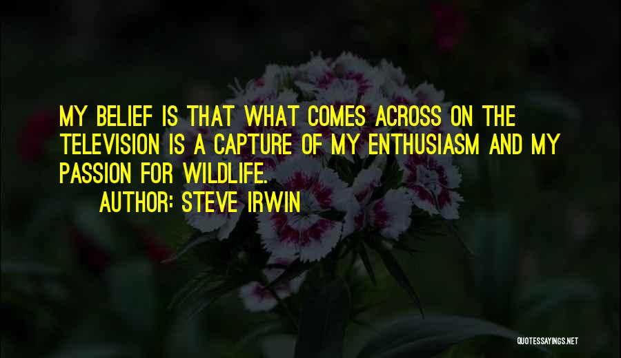 Steve Irwin Quotes: My Belief Is That What Comes Across On The Television Is A Capture Of My Enthusiasm And My Passion For