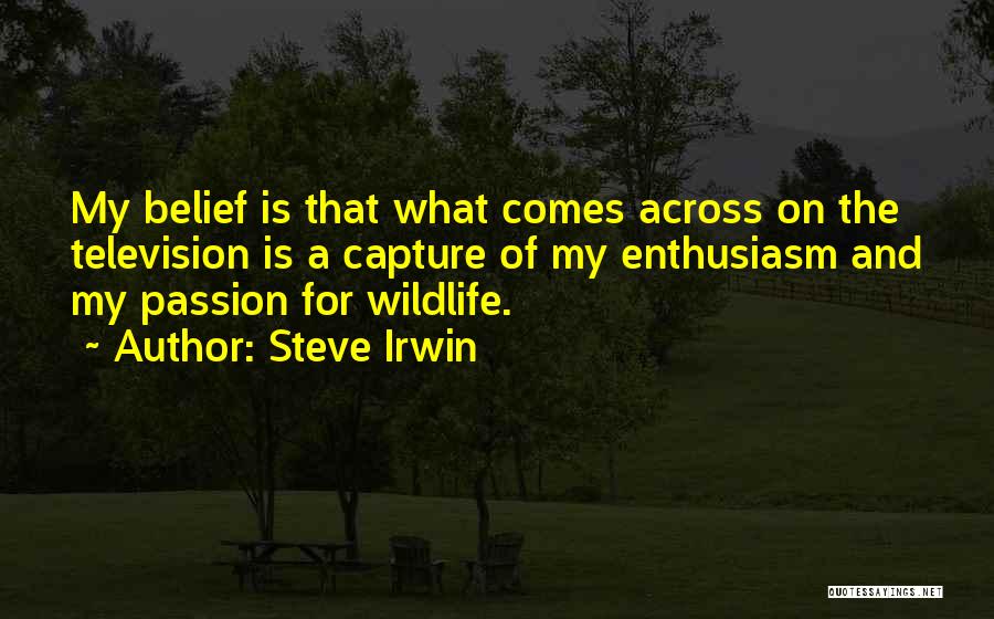 Steve Irwin Quotes: My Belief Is That What Comes Across On The Television Is A Capture Of My Enthusiasm And My Passion For