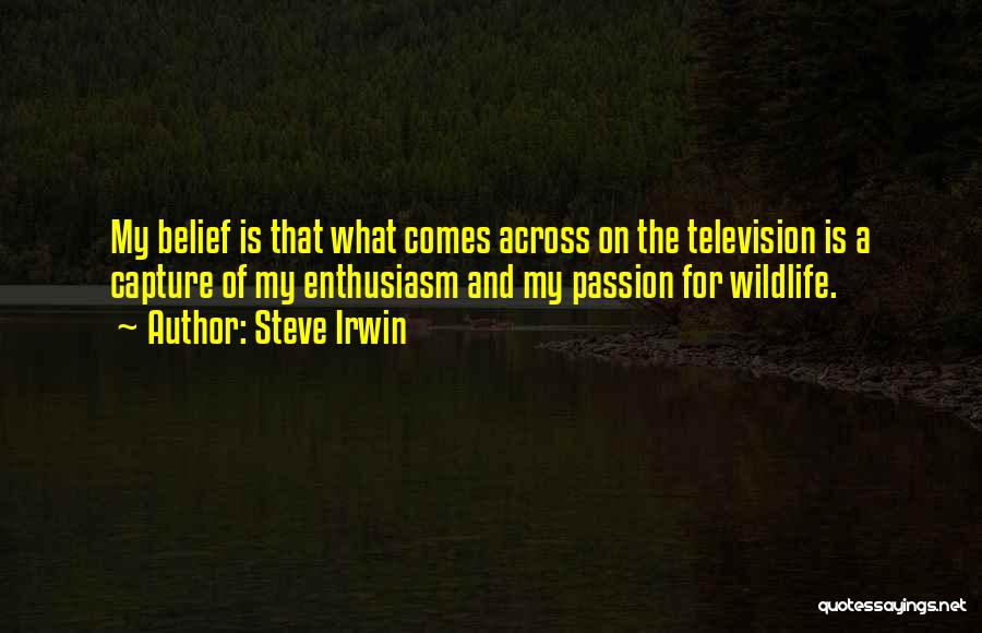 Steve Irwin Quotes: My Belief Is That What Comes Across On The Television Is A Capture Of My Enthusiasm And My Passion For