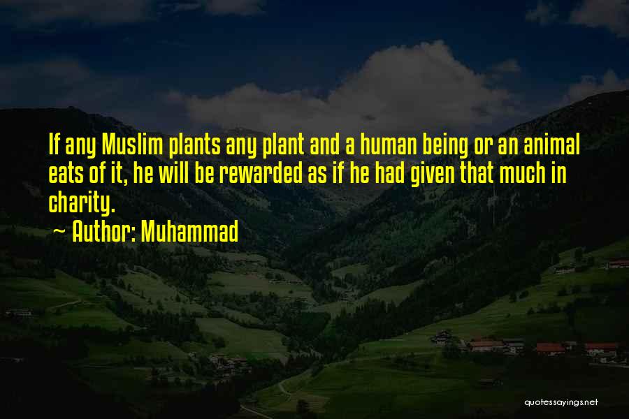 Muhammad Quotes: If Any Muslim Plants Any Plant And A Human Being Or An Animal Eats Of It, He Will Be Rewarded