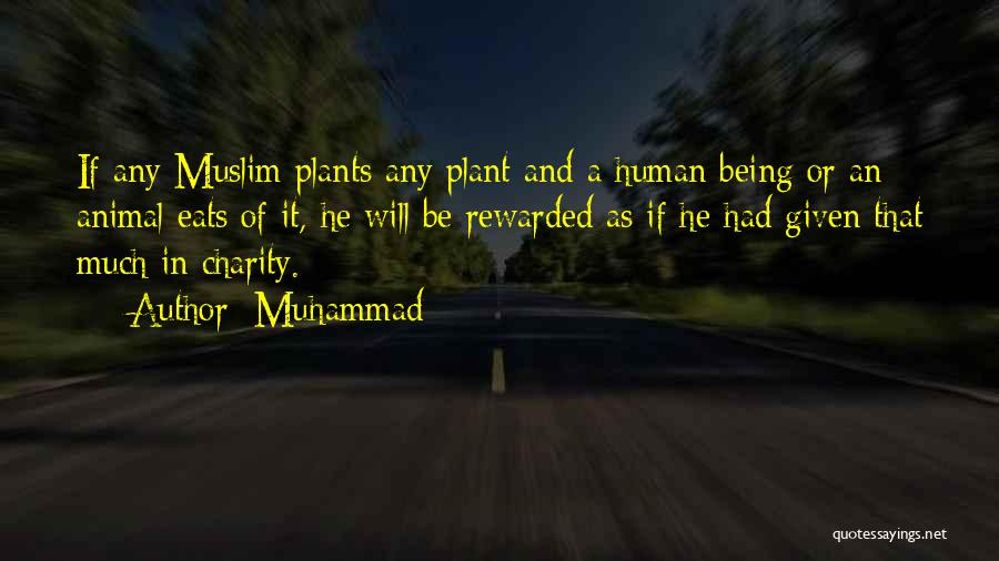 Muhammad Quotes: If Any Muslim Plants Any Plant And A Human Being Or An Animal Eats Of It, He Will Be Rewarded