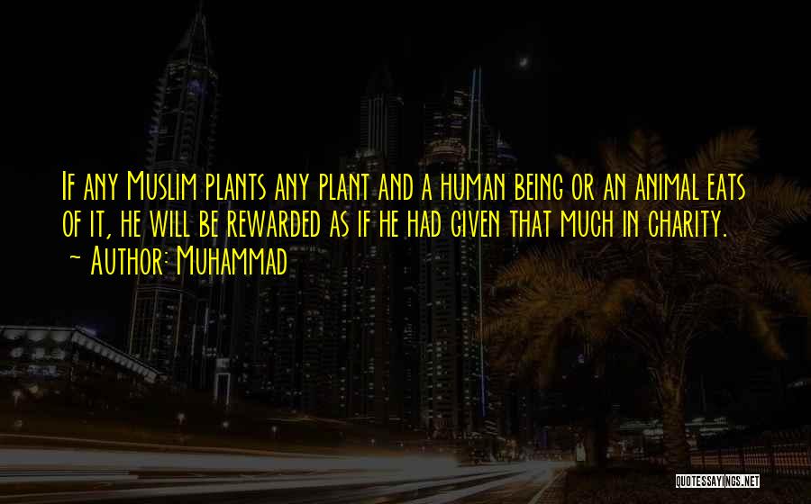 Muhammad Quotes: If Any Muslim Plants Any Plant And A Human Being Or An Animal Eats Of It, He Will Be Rewarded