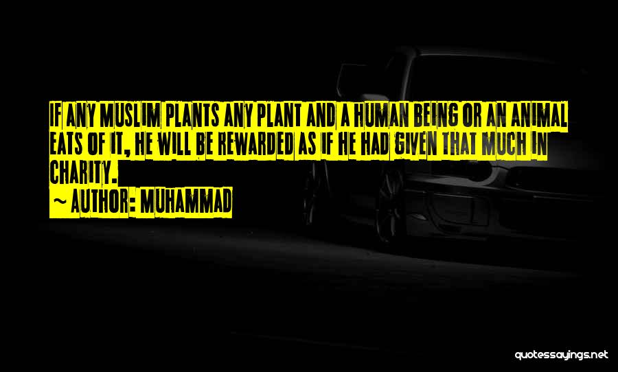 Muhammad Quotes: If Any Muslim Plants Any Plant And A Human Being Or An Animal Eats Of It, He Will Be Rewarded