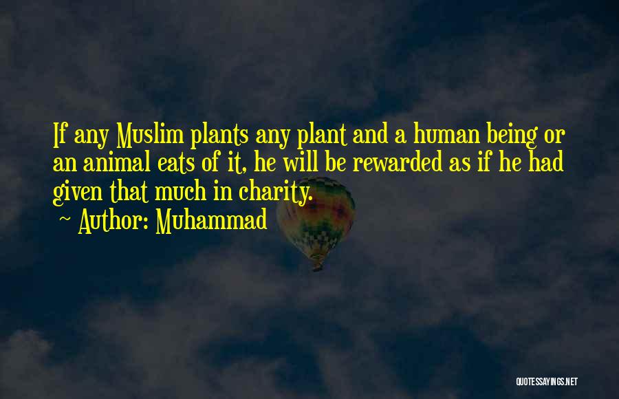 Muhammad Quotes: If Any Muslim Plants Any Plant And A Human Being Or An Animal Eats Of It, He Will Be Rewarded