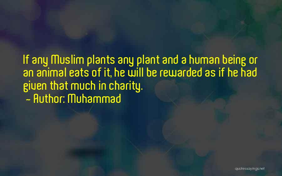 Muhammad Quotes: If Any Muslim Plants Any Plant And A Human Being Or An Animal Eats Of It, He Will Be Rewarded