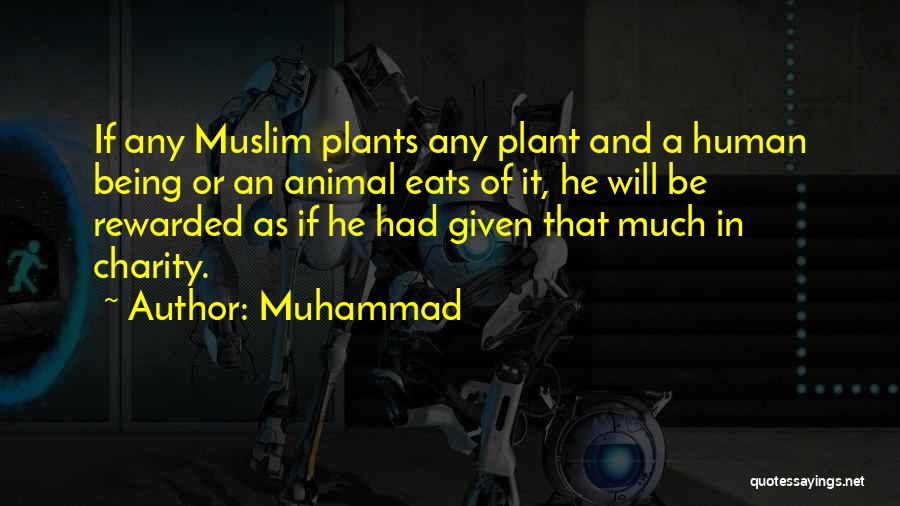 Muhammad Quotes: If Any Muslim Plants Any Plant And A Human Being Or An Animal Eats Of It, He Will Be Rewarded