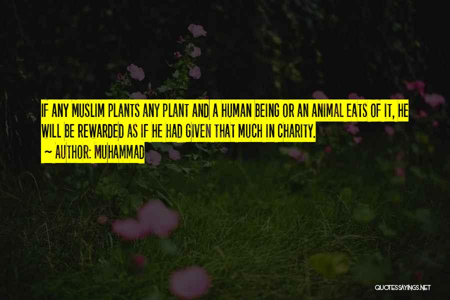 Muhammad Quotes: If Any Muslim Plants Any Plant And A Human Being Or An Animal Eats Of It, He Will Be Rewarded