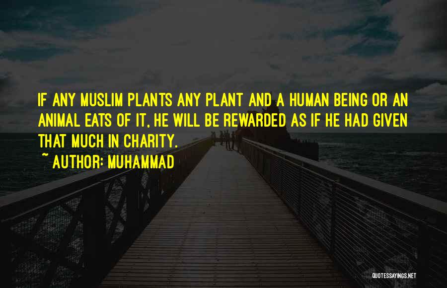 Muhammad Quotes: If Any Muslim Plants Any Plant And A Human Being Or An Animal Eats Of It, He Will Be Rewarded