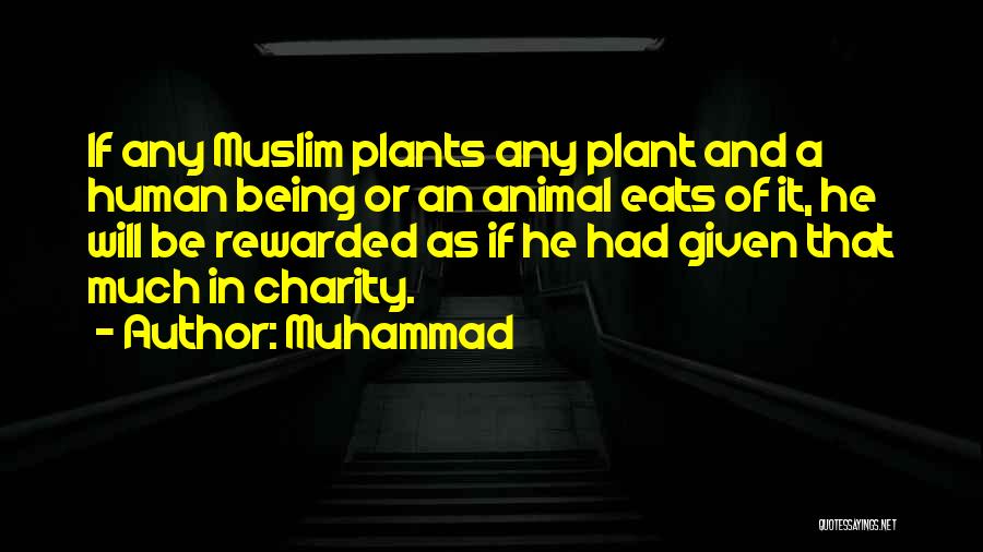 Muhammad Quotes: If Any Muslim Plants Any Plant And A Human Being Or An Animal Eats Of It, He Will Be Rewarded