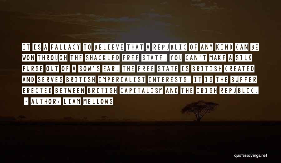 Liam Mellows Quotes: It Is A Fallacy To Believe That A Republic Of Any Kind Can Be Won Through The Shackled Free State.