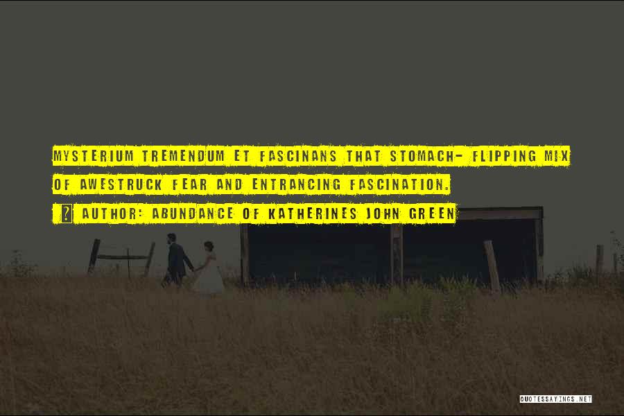 Abundance Of Katherines John Green Quotes: Mysterium Tremendum Et Fascinans That Stomach- Flipping Mix Of Awestruck Fear And Entrancing Fascination.