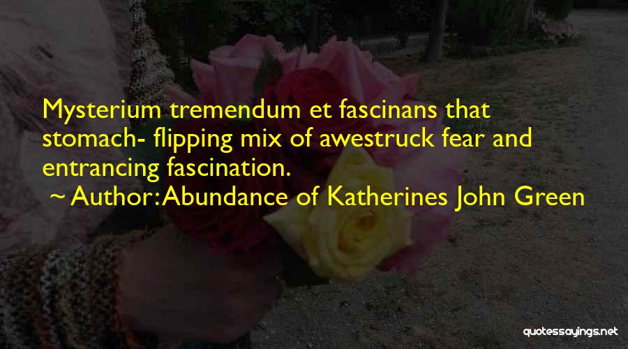 Abundance Of Katherines John Green Quotes: Mysterium Tremendum Et Fascinans That Stomach- Flipping Mix Of Awestruck Fear And Entrancing Fascination.