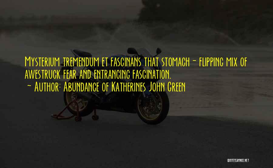 Abundance Of Katherines John Green Quotes: Mysterium Tremendum Et Fascinans That Stomach- Flipping Mix Of Awestruck Fear And Entrancing Fascination.