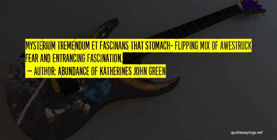 Abundance Of Katherines John Green Quotes: Mysterium Tremendum Et Fascinans That Stomach- Flipping Mix Of Awestruck Fear And Entrancing Fascination.