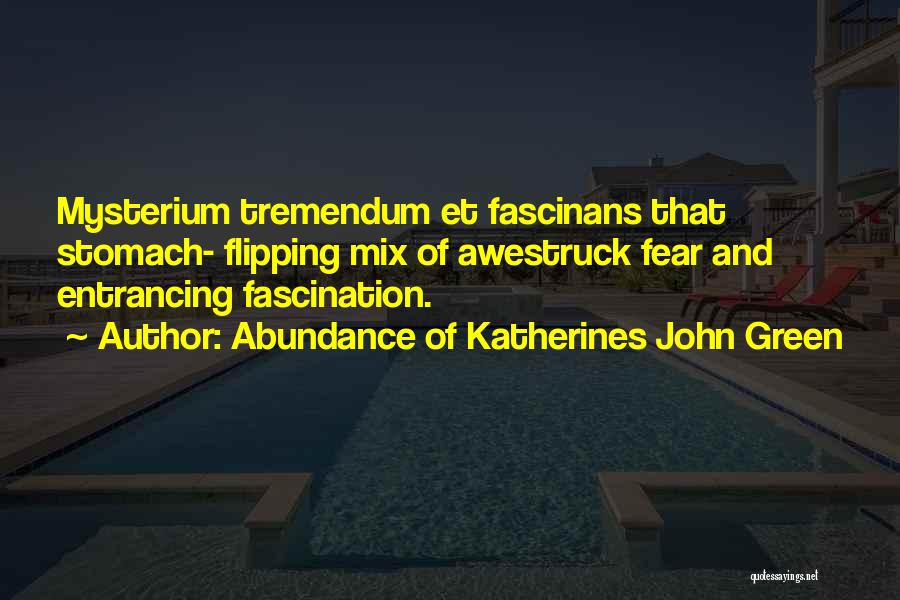 Abundance Of Katherines John Green Quotes: Mysterium Tremendum Et Fascinans That Stomach- Flipping Mix Of Awestruck Fear And Entrancing Fascination.