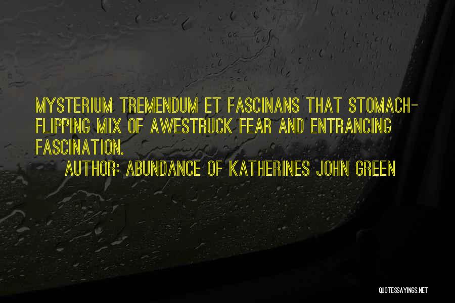 Abundance Of Katherines John Green Quotes: Mysterium Tremendum Et Fascinans That Stomach- Flipping Mix Of Awestruck Fear And Entrancing Fascination.