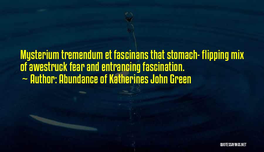Abundance Of Katherines John Green Quotes: Mysterium Tremendum Et Fascinans That Stomach- Flipping Mix Of Awestruck Fear And Entrancing Fascination.