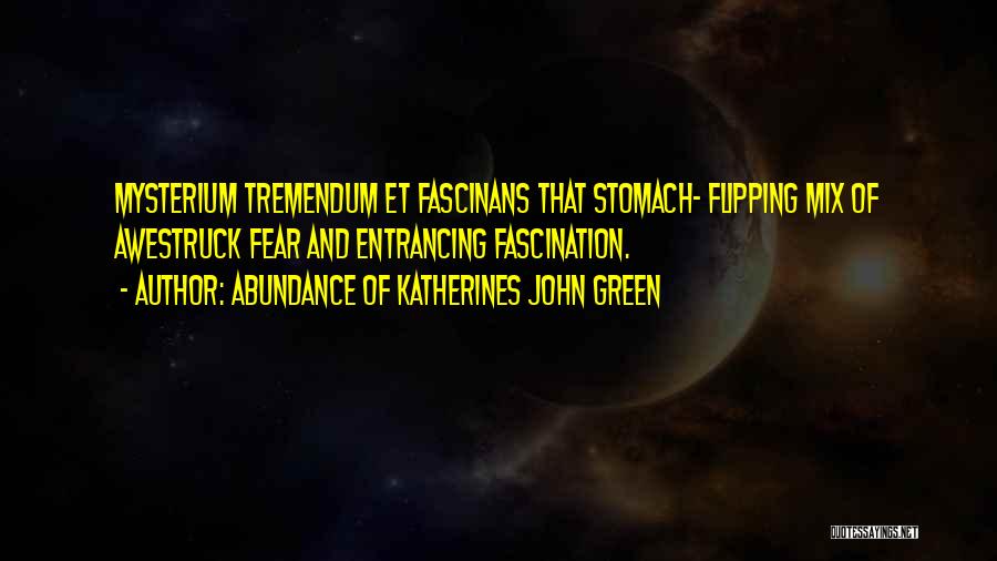 Abundance Of Katherines John Green Quotes: Mysterium Tremendum Et Fascinans That Stomach- Flipping Mix Of Awestruck Fear And Entrancing Fascination.