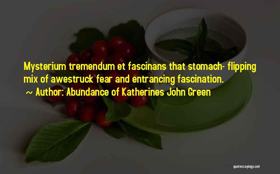 Abundance Of Katherines John Green Quotes: Mysterium Tremendum Et Fascinans That Stomach- Flipping Mix Of Awestruck Fear And Entrancing Fascination.