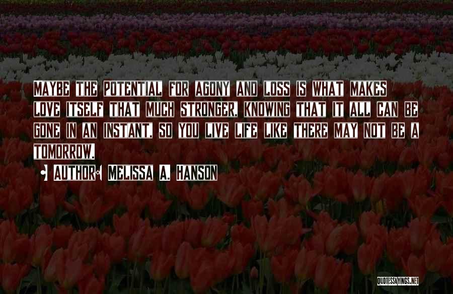 Melissa A. Hanson Quotes: Maybe The Potential For Agony And Loss Is What Makes Love Itself That Much Stronger, Knowing That It All Can