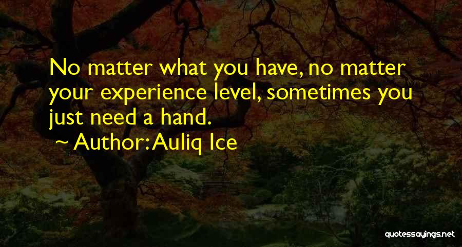 Auliq Ice Quotes: No Matter What You Have, No Matter Your Experience Level, Sometimes You Just Need A Hand.