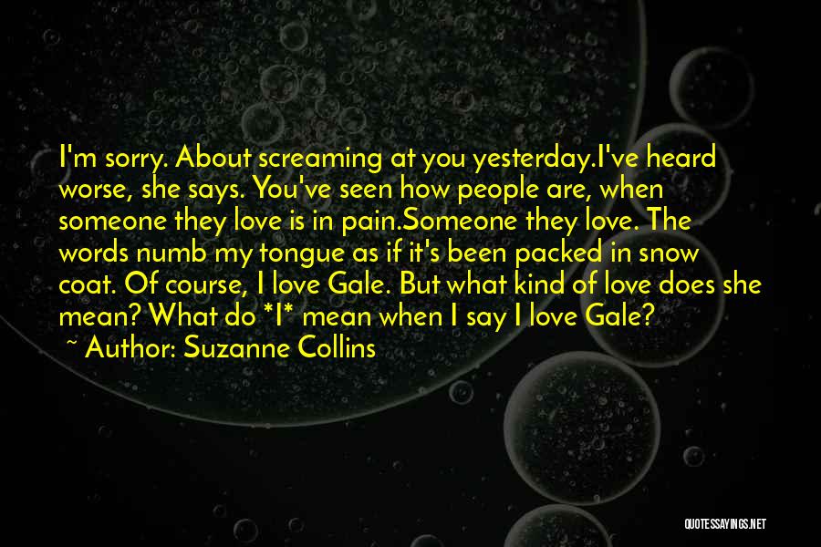 Suzanne Collins Quotes: I'm Sorry. About Screaming At You Yesterday.i've Heard Worse, She Says. You've Seen How People Are, When Someone They Love