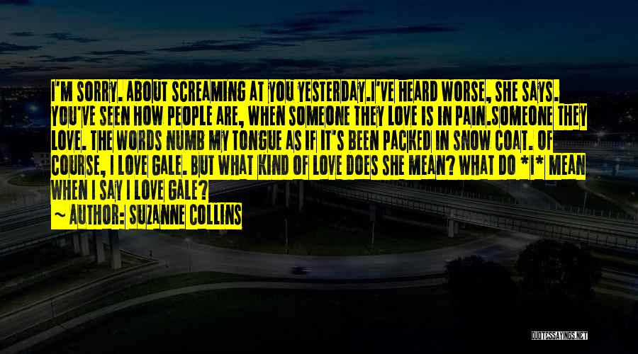 Suzanne Collins Quotes: I'm Sorry. About Screaming At You Yesterday.i've Heard Worse, She Says. You've Seen How People Are, When Someone They Love