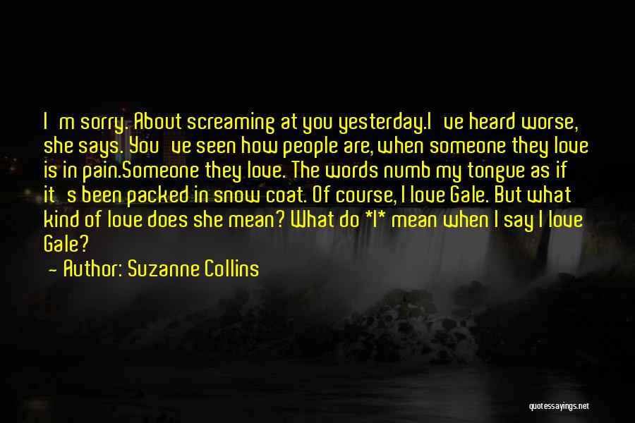 Suzanne Collins Quotes: I'm Sorry. About Screaming At You Yesterday.i've Heard Worse, She Says. You've Seen How People Are, When Someone They Love