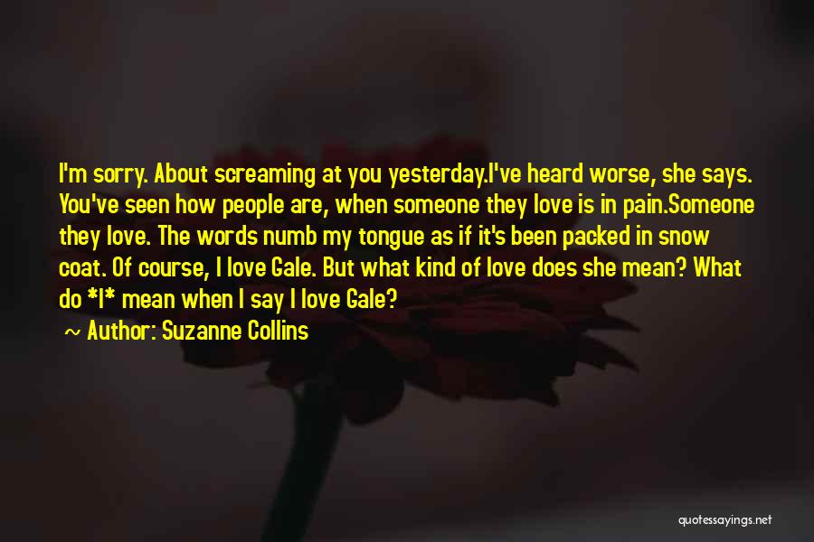 Suzanne Collins Quotes: I'm Sorry. About Screaming At You Yesterday.i've Heard Worse, She Says. You've Seen How People Are, When Someone They Love