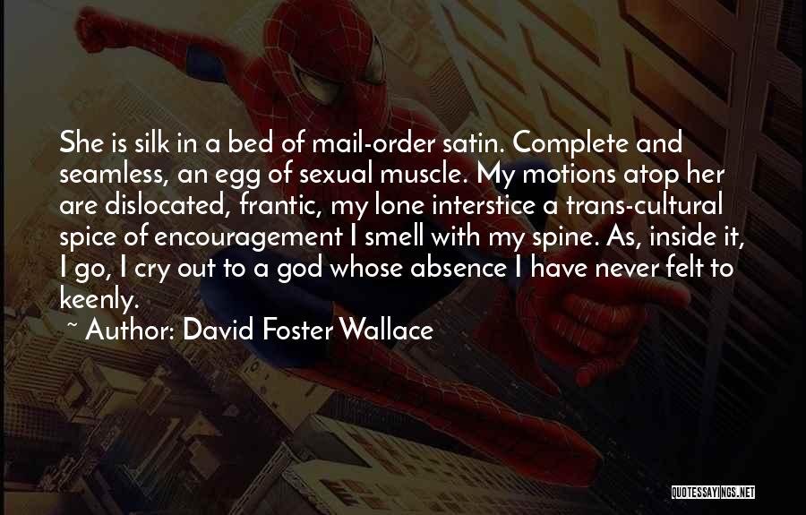 David Foster Wallace Quotes: She Is Silk In A Bed Of Mail-order Satin. Complete And Seamless, An Egg Of Sexual Muscle. My Motions Atop