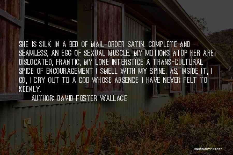 David Foster Wallace Quotes: She Is Silk In A Bed Of Mail-order Satin. Complete And Seamless, An Egg Of Sexual Muscle. My Motions Atop