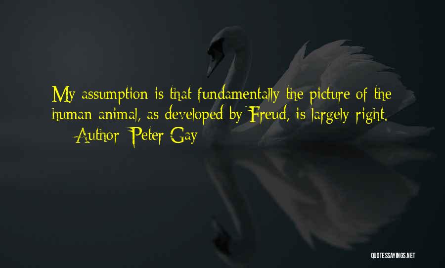 Peter Gay Quotes: My Assumption Is That Fundamentally The Picture Of The Human Animal, As Developed By Freud, Is Largely Right.