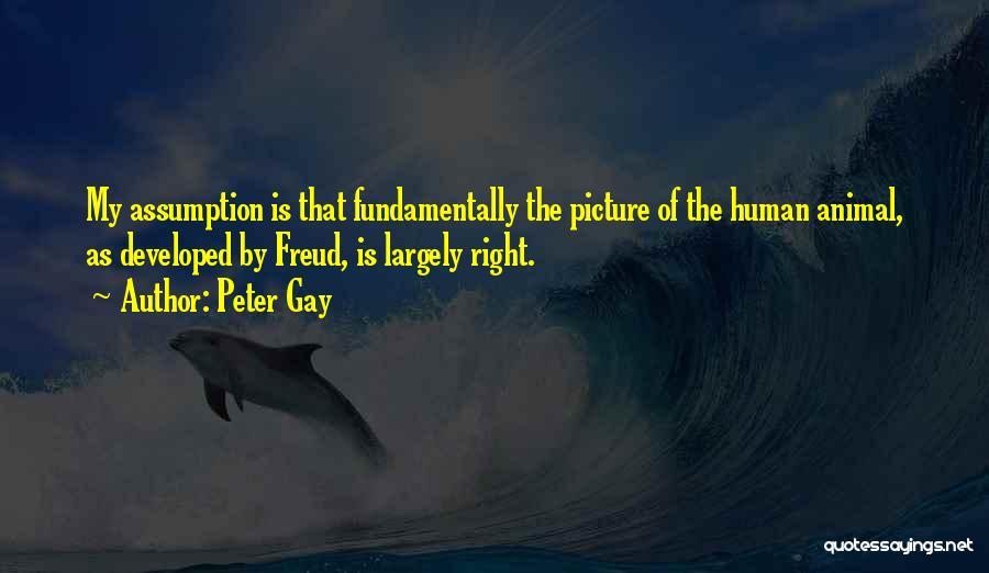 Peter Gay Quotes: My Assumption Is That Fundamentally The Picture Of The Human Animal, As Developed By Freud, Is Largely Right.