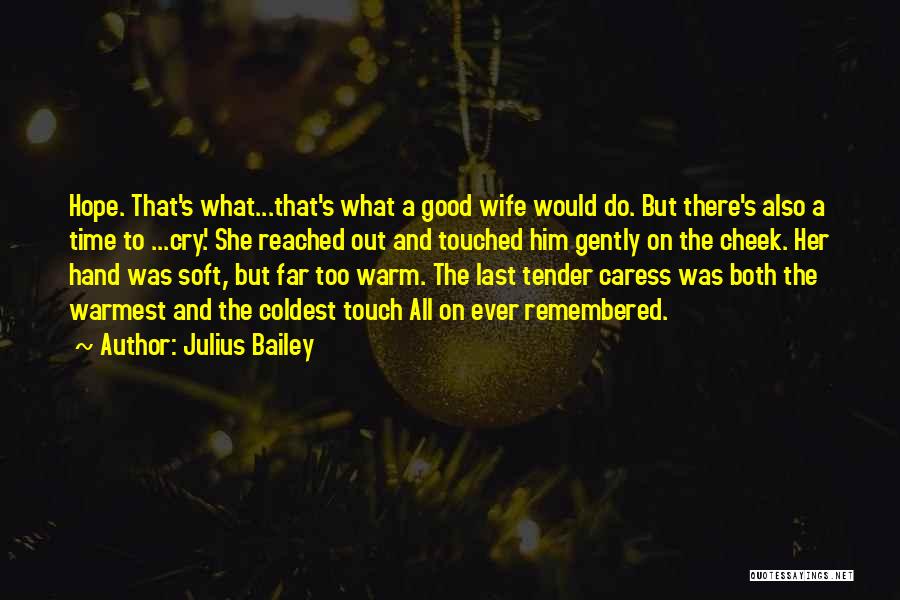 Julius Bailey Quotes: Hope. That's What...that's What A Good Wife Would Do. But There's Also A Time To ...cry.' She Reached Out And