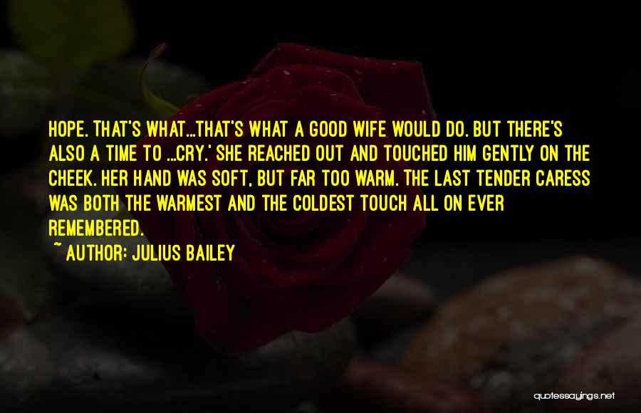 Julius Bailey Quotes: Hope. That's What...that's What A Good Wife Would Do. But There's Also A Time To ...cry.' She Reached Out And