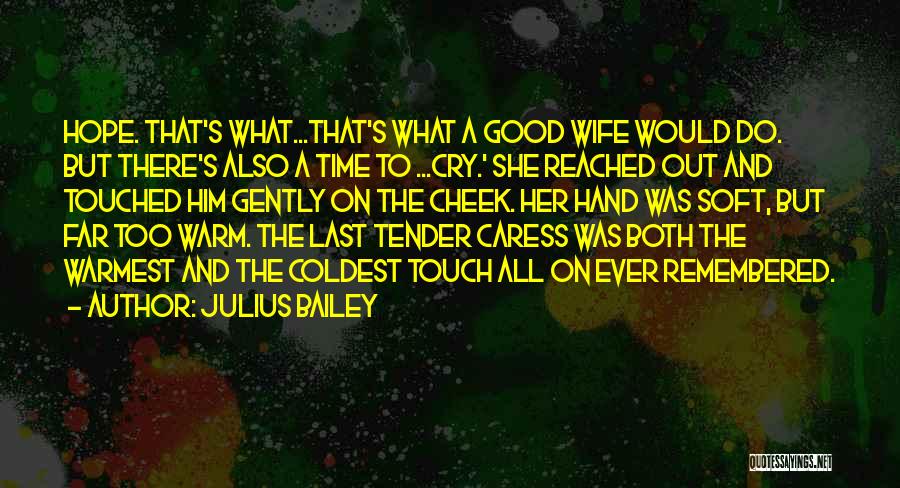 Julius Bailey Quotes: Hope. That's What...that's What A Good Wife Would Do. But There's Also A Time To ...cry.' She Reached Out And