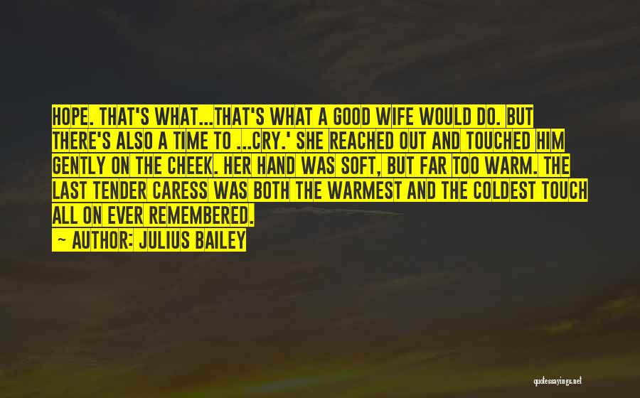 Julius Bailey Quotes: Hope. That's What...that's What A Good Wife Would Do. But There's Also A Time To ...cry.' She Reached Out And